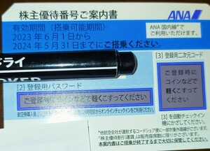 コード通知のみ 全日空 ANA　株主優待券2024年5月31日まで　１枚