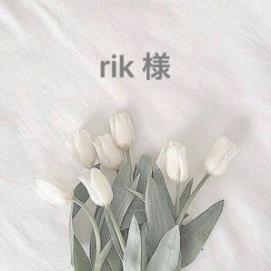 rik様 専用出品