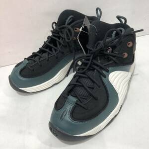 AIR PENNY 2 "BLACK AND FADED SPRUCE" DV3465-001 （ブラック/ダークポニー/セイル/フェーデッドスプルース）