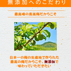 樽の味 つぶれはちみつ梅 つぶれ梅 潰れ梅 無添加 1kg入(紀州、南高梅、南部、梅干し、梅)の画像3