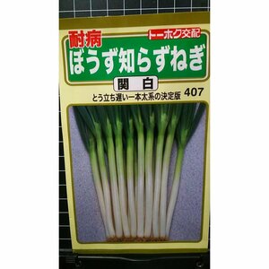 ３袋セット ぼうず 知らず ねぎ 関白 一本太葱 種 郵便は送料無料