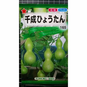 ３袋セット 千成 ひょうたん 種 郵便は送料無料