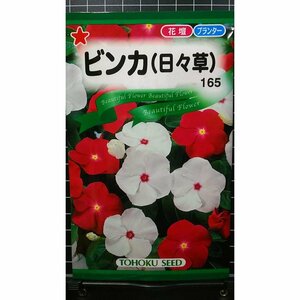 ３袋セット ビンカ 日々草 ニチニチソウ 種 郵便は送料無料