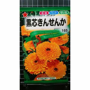 ３袋セット 黒芯 きんせんか 金盞花 種 郵便は送料無料