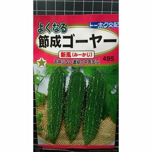 ３袋セット 節成 ゴーヤー 新風 み～かじ よくなる 種 郵便は送料無料