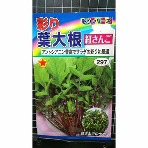 ３袋セット 彩り 葉大根 紅さんご アントシアニン 種 郵便は送料無料