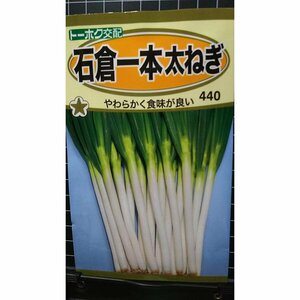 ３袋セット 節成 ふしみどり キュウリ 早どり キューリ 種 郵便は送料無料