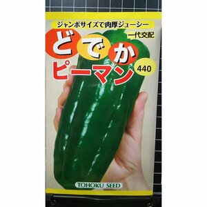 ３袋セット どでか ピーマン ジャンボ 種 郵便は送料無料