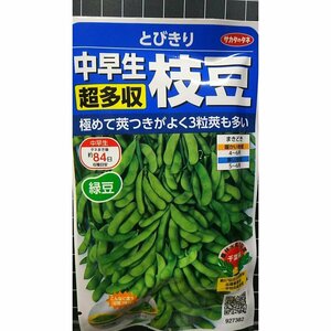 ３袋セット 中早生 超多収 枝豆 とびきり エダマメ 種 郵便は送料無料