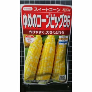 ３袋セット ゆめの コーン ビッグ 85 トウモロコシ 種 郵便は送料無料