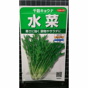 ３袋セット 水菜 千筋 キョウナ 京水菜 ミズナ 種 郵便は送料無料