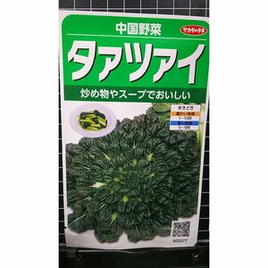 ３袋セット タァツァイ タアサイ 中国野菜 種 郵便は送料無料