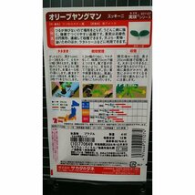 ３袋セット エメラルド ズッキーニ オリーブヤングマン 種 郵便は送料無料_画像2