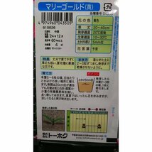 ３袋セット マリーゴールド フレンチ系 黄 種 郵便は送料無料_画像2