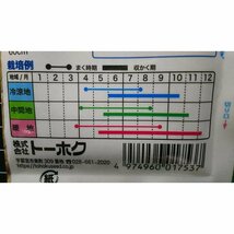 ３袋セット つるなし いんげん テンダーグリーンPB インゲン 種 郵便は送料無料_画像3