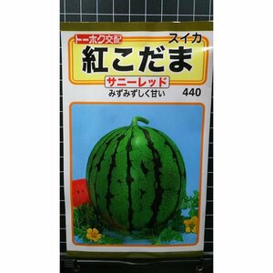 ３袋セット 紅 小玉 スイカ サニーレッド こだま 西瓜 種 郵便は送料無料