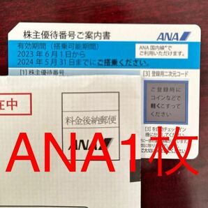 ANA株主優待券 1枚 2024年5月31日搭乗まで有効 送料無料 全日空 ③の画像1
