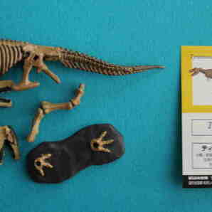 T-39★ チョコラザウルス★ ティラノサウルス（骨格） 海洋堂の画像1