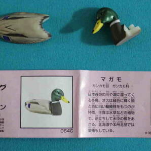 P-34★チョコエッグ 日本の動物 クラシック ★マガモ 説明書あり 海洋堂 海洋堂の画像1