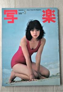 写楽　浜田朱里　渡部杏子　他　＜表紙：浜田朱里＞　１９８１年５月１日号