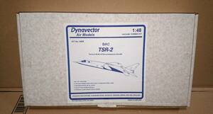 ★☆手渡し可♪TSR-2 Dynavector ダイナベクター 1/48 バキュームフォームキット★☆