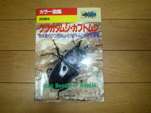 カラー図鑑　クワガタムシ・カブトムシ　吉田賢治　（送料：全国一律230円）