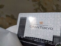 グラントウキョウ Suica 非売品　GRANTOKYO 東京駅　失効しています_画像10