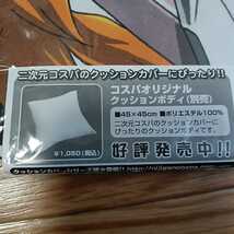 ☆新品・未使用☆クイーンズブレイド 流浪の戦士レイナクッションカバー②　0405-A2Y-Ya19_画像5