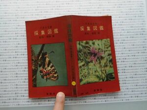 昭和一桁本文学no.566 　1958年　科学　社会　　政治　名作　100年古書　　　採集図鑑　動物・植物編　川西良吉　東雲堂