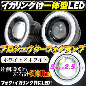 LED 白イカリング付 プロジェクターフォグランプ 2.5インチ 12V 高輝度6000ｌｍ（左右計） デイライト 一体型LEDキット