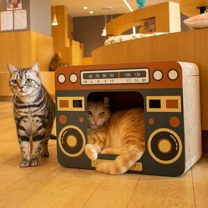  кошка коготь .. кошка house радио type .... коготь ... bed картон высокая плотность кошка тоннель -тактный отсутствует аннулирование вентиляция мебель поломка . предотвращение 