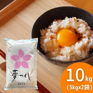 夢つくし 10kg(5kg×2) 令和5年《リピーター様多数》厳選米 福岡県産 白米 美味しい お米 安い