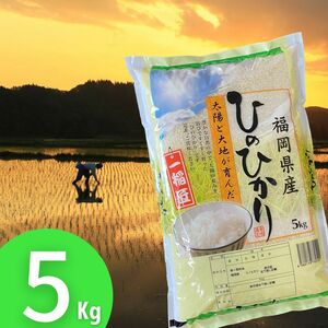 ヒノヒカリ5kg 令和5年 福岡県産 白米 美味しい お米 安い 検査米 