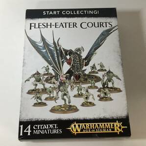 【未組立】 ウォーハンマー スタート コレクティング！ フレッシュイーター コート / Start Collecting! Flesh-Eater Courts WARHAMMERの画像1