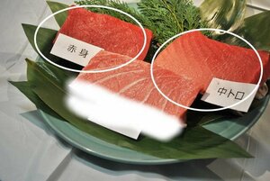 青森、津軽海峡、天然本マグロ「中トロ（冷凍）200g」「赤身（冷凍）200g」セット (計400g)