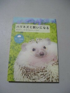 * hedgehog .. become .. person from, together ... fun, goods till *