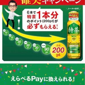 サントリー　特茶　えらべるPay キャンペーンシール　応募シール　60枚