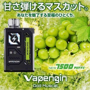 持ち運びシーシャ Vapengin ベイプエンジン7500 ゴッドマスカット