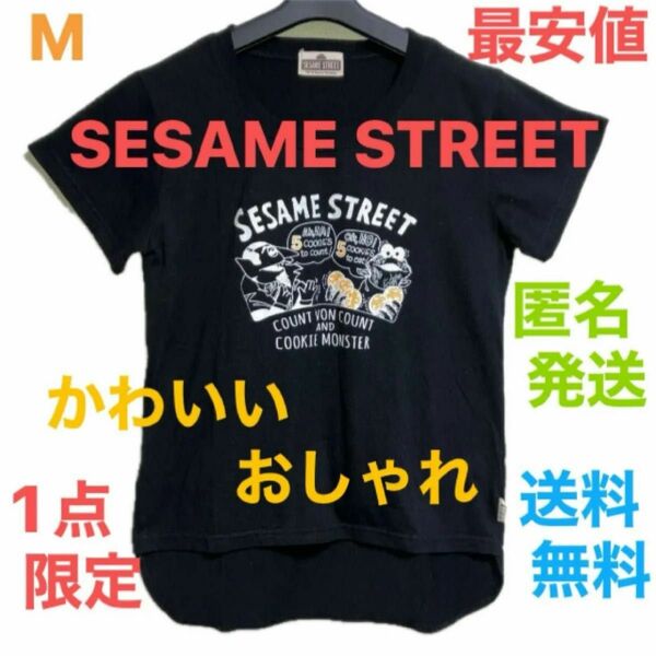 【半袖Tシャツ】大人気　SESAME STREET Mサイズ　1点限り☆早い者勝ち☆これから活躍　お買い得品　送料無料 匿名発送♪