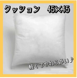 ヌードクッション　45×45　2個　中材　綿　ふわふわ　軽い　軽量　おまけ付き