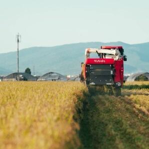 新米 農家直送 令和5年産 北海道 安田農場産 一等米 ななつぼし 24kg精米の画像3