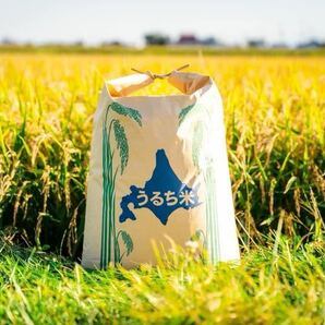 新米 農家直送 令和5年産 北海道 安田農場産 一等米 ななつぼし24kg玄米の画像1