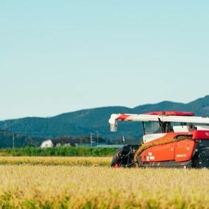 新米 農家直送 令和5年産 北海道 安田農場産 一等米 ゆめぴりか10kg玄米の画像5
