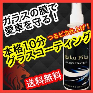 初心者や女性の方も安心！簡単施工で驚きの艶光沢！本格グラスコーティング！車 ガラスコーティング剤 ピカピカ 疎水 送料無料　洗車