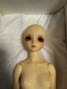 1st car ru Lotte body wig only used 