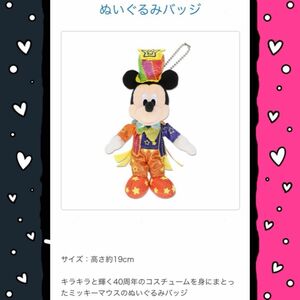 ディズニーランド ミッキー ぬいぐるみバッジ ディズニーリゾート 40th 40周年 バッヂ ぬいぐるみ バッジ 限定仕様 新品