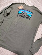 新品 未使用 patagonia パタゴニア バックロゴ ロンＴ M グリーン 長袖 Tシャツ 現行モデル メンズ _画像1