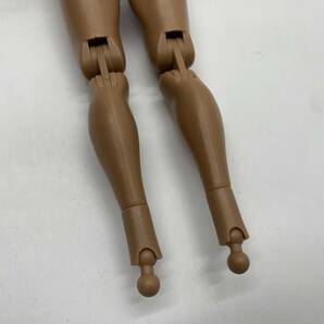 COOMODEL 1/6 アクションフィギュア用 BD002 マッスルボディ ハイタイプ 男性素体 約27cm Muscle male Bodyの画像6