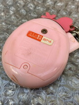 S-36◆1円～◆いぇー！ふぁみりーイロイロ！ たまごっちプラス 稼動品 バンダイ 2007_画像2