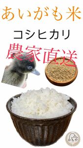 あいがも米 20kg(玄米重量)